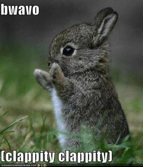 funny-pictures-bravo-bunny-475x554