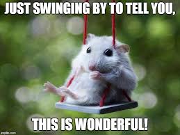 swing meme
