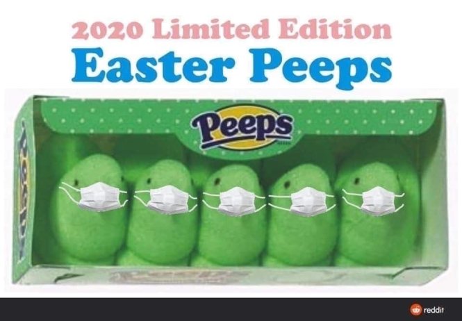 4892F7EB-B974-4033-A01B-8DE106C07254